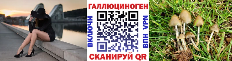 Псилоцибиновые грибы ЛСД  Симферополь 