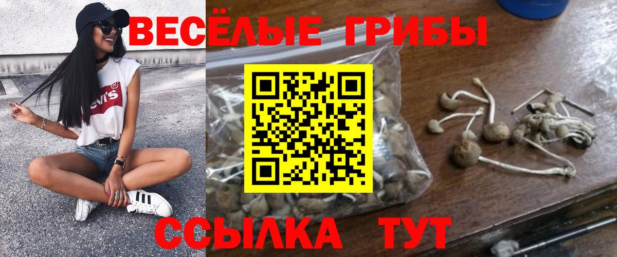 Галлюциногенные грибы Magic Shrooms Симферополь
