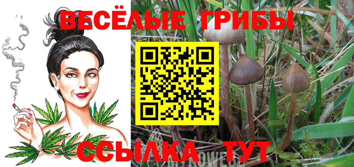 что такое наркотик  Галлюциногенные грибы мухоморы  Вход с VPN  Симферополь 